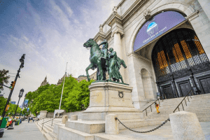 Everything you need to know about the museum of natural history, NYC