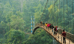 Meghalaya tourism | List of most underrated places to visit