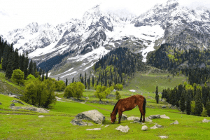 Best hidden gems of Kashmir valley