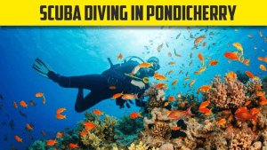 Top 20 Best places to visit in Pondicherry
