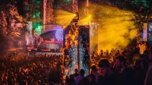 All You Need To Know About Tomorrowland