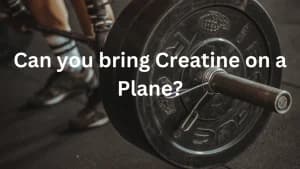 Can you bring Creatine on a plane?