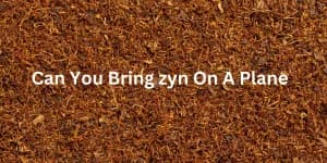 Can you bring Zyn on a plane