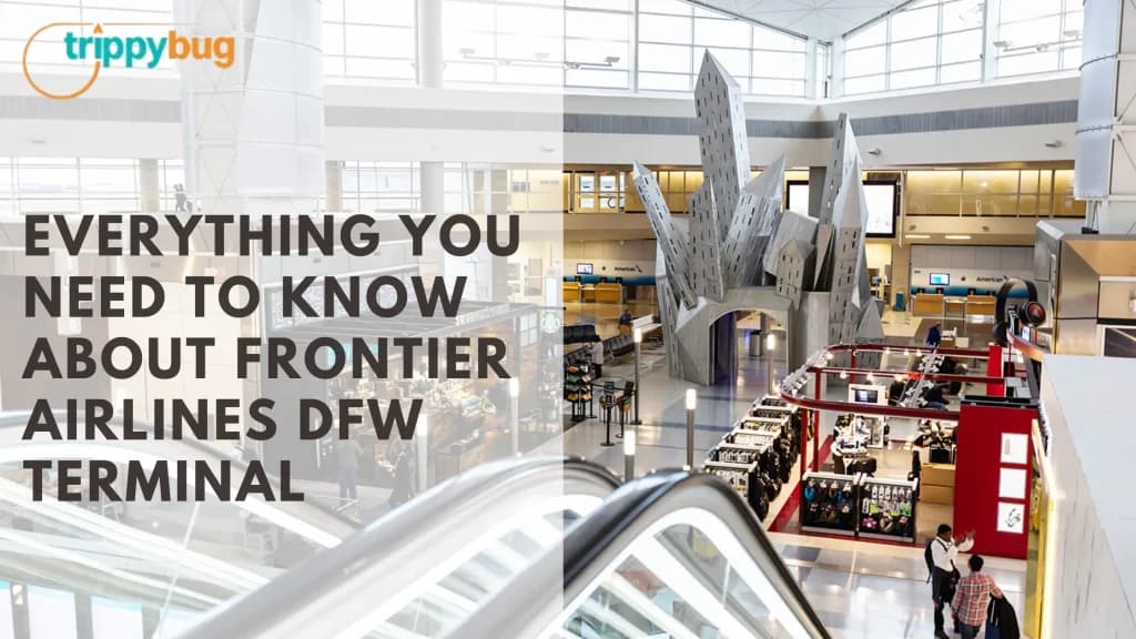 Everything About Frontier Airlines DFW Terminal