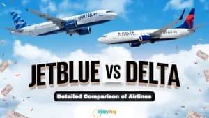 Delta vs Jetblue – Detailed Comparison of Airlines