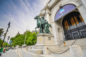 Everything you need to know about the museum of natural history, NYC