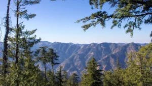 Shimla India | Things To Do & Places To Stay