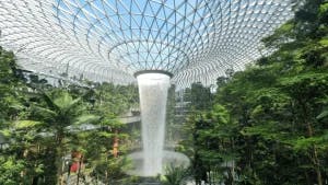 Singapore Changi Airport: A Complete Guide